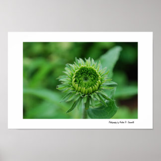 Póster Going Green