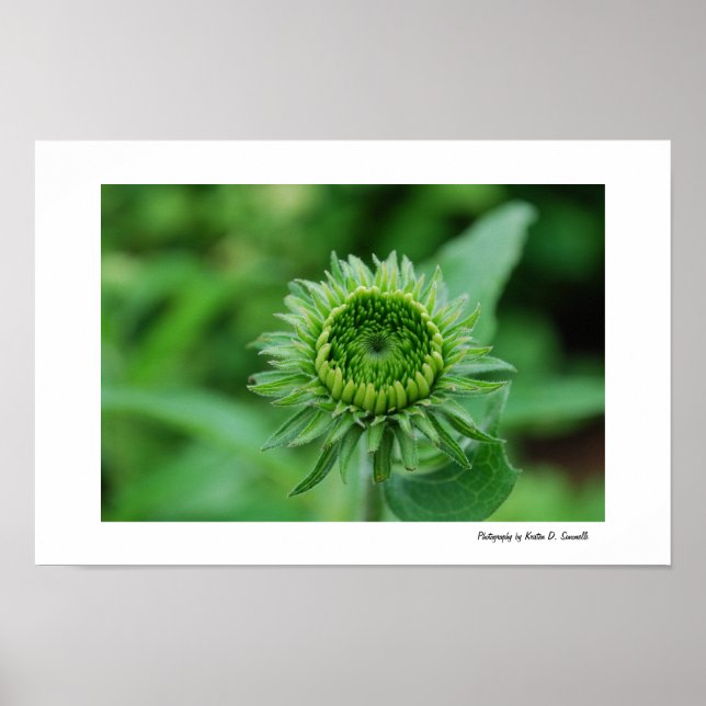 Póster Going Green (Frente)