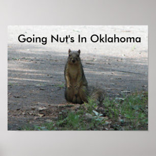 Póster Going Nut's en Oklahoma