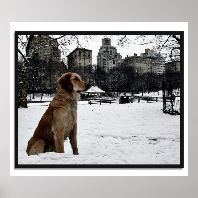 Póster Golden-Conservatory-Central Park 3D Frame Poster (Frente)