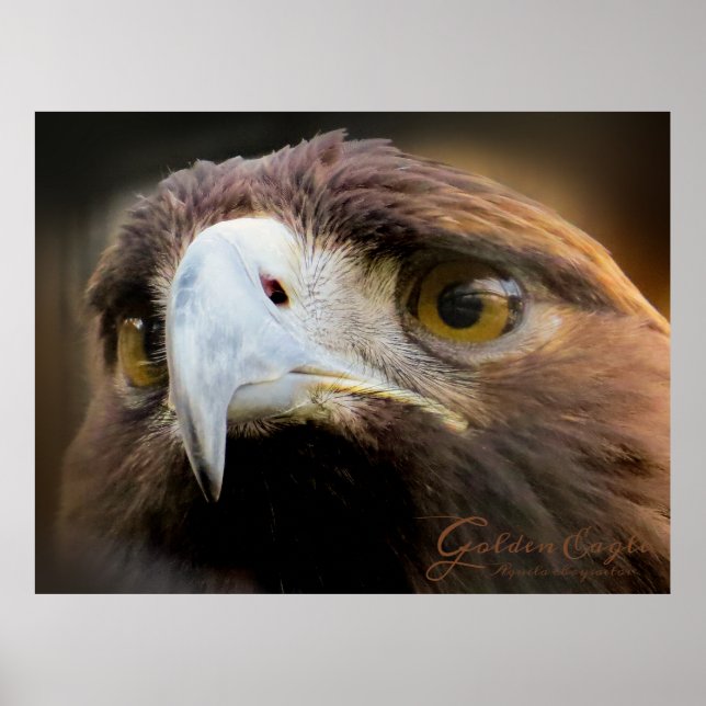 Póster Golden Eagle：Poster (Frente)