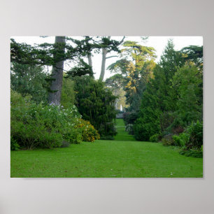 Póster Golden Gate Park