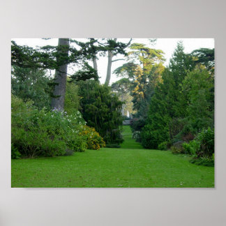 Póster Golden Gate Park