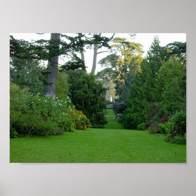 Póster Golden Gate Park (Frente)