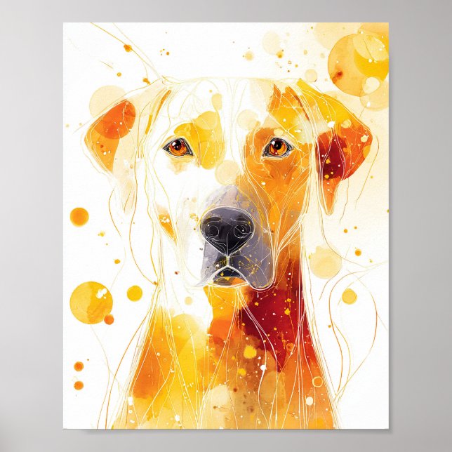 Póster Golden Gaze (Frente)
