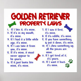 PÓSTER GOLDEN RETRIEVE PL2