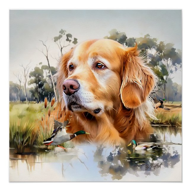 Póster Golden Retriever (Anverso)