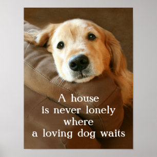 Póster Golden Retriever A House Is Never Lonely