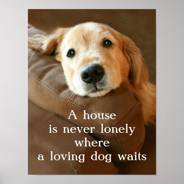 Póster Golden Retriever A House Is Never Lonely (Frente)