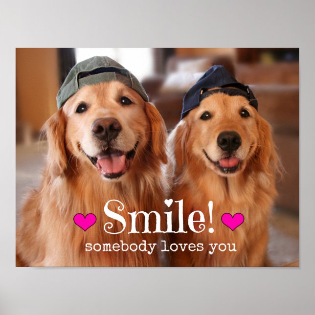 Póster Golden Retriever Alguien te ama (Frente)
