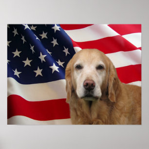 Póster Golden Retriever American Flag Print