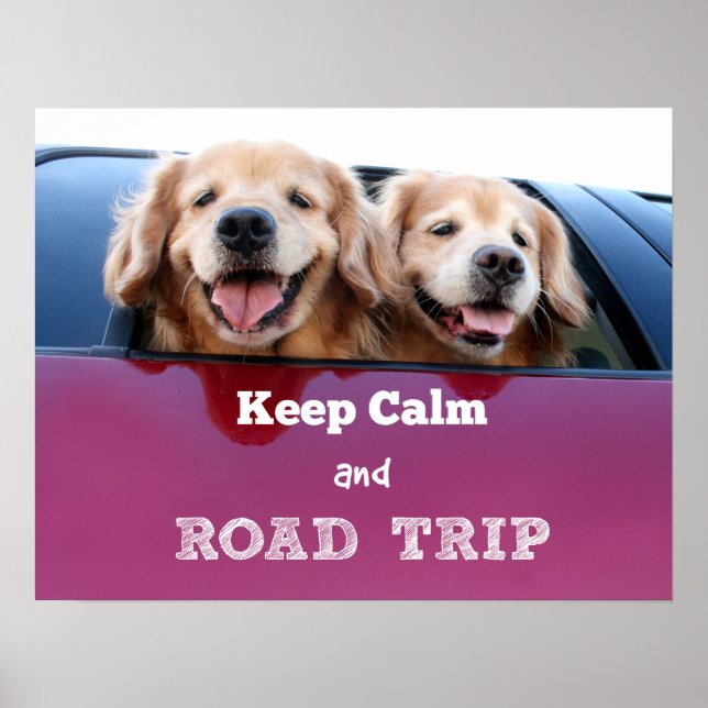 Póster Golden Retriever Calm and Road Trip (Frente)