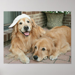Póster Golden Retriever con gorra de béisbol