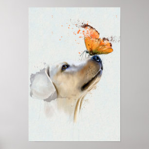 Póster Golden retriever con una mariposa en su nariz