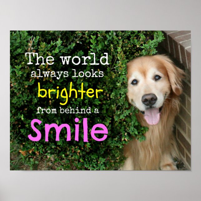 Póster Golden Retriever Detrás De Una Sonrisa (Frente)
