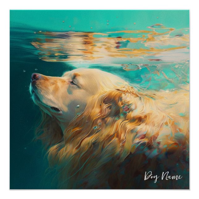 Póster Golden Retriever dog swimming in water 004 (Anverso)