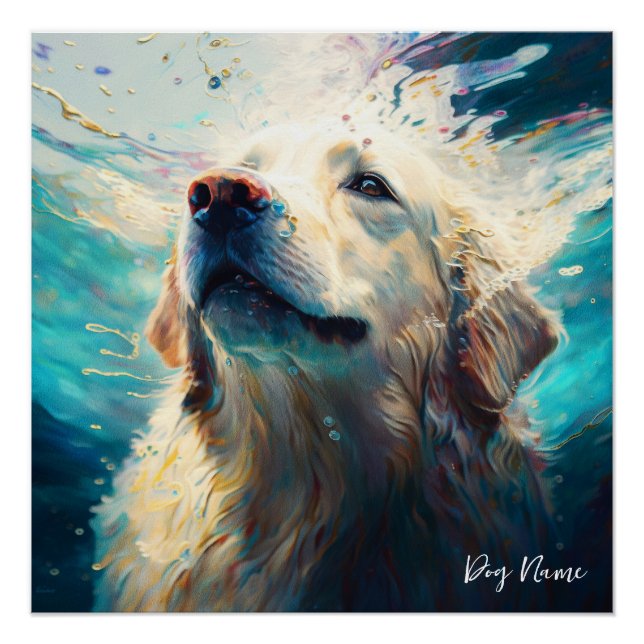 Póster Golden Retriever dog swimming in water 005 (Anverso)