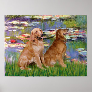 Póster Golden Retriever (dos) - Lilies 2
