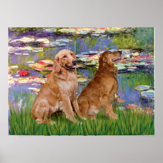 Póster Golden Retriever (dos) - Lirios 2 (Frente)