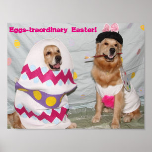 Póster Golden Retriever Eggstraordinal Easter Bunny