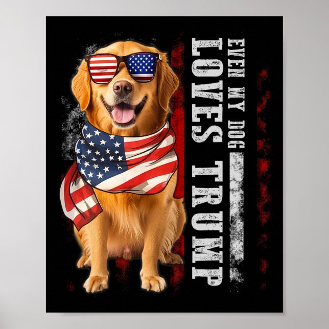 Póster Golden Retriever Hasta My Dog ama a Trump Funny (Frente)
