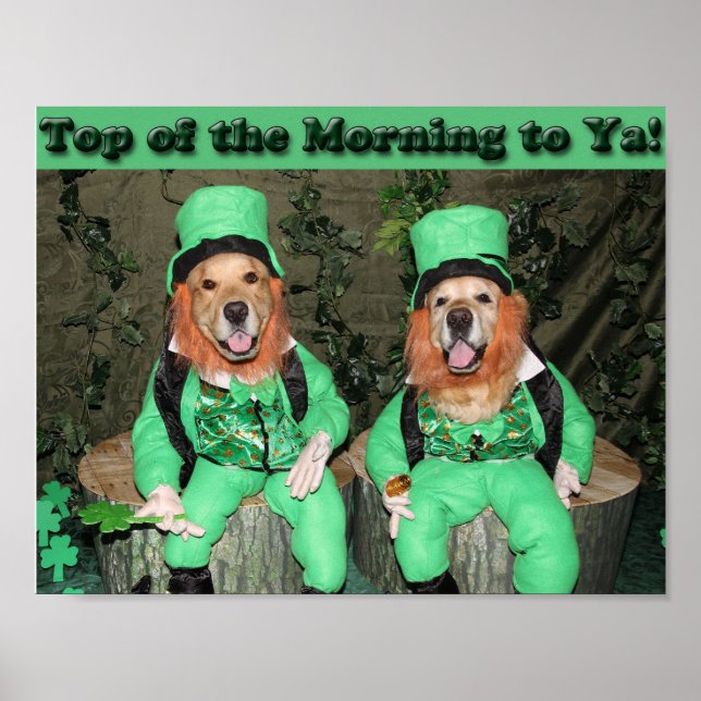 Póster Golden Retriever Top of the Morning Leprechauns (Frente)