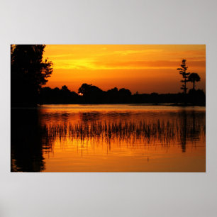 Póster Golden Sunset Behind a Lake