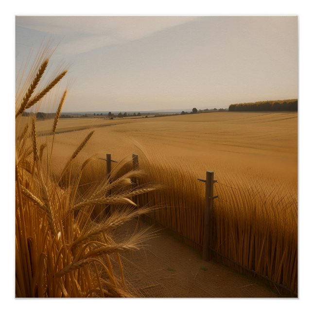 Póster Golden Wheat Path – Rustic Summer Landscape (Anverso)