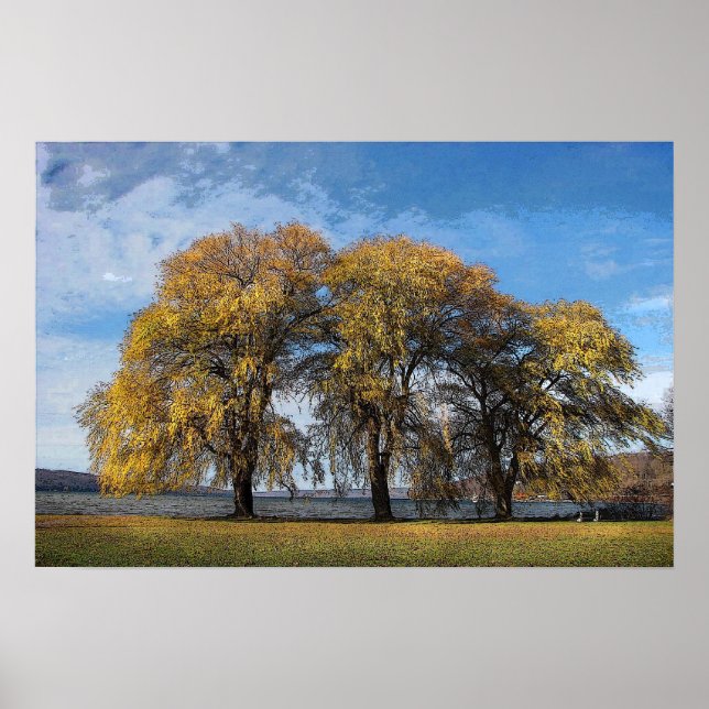 Póster Golden Willows (Frente)