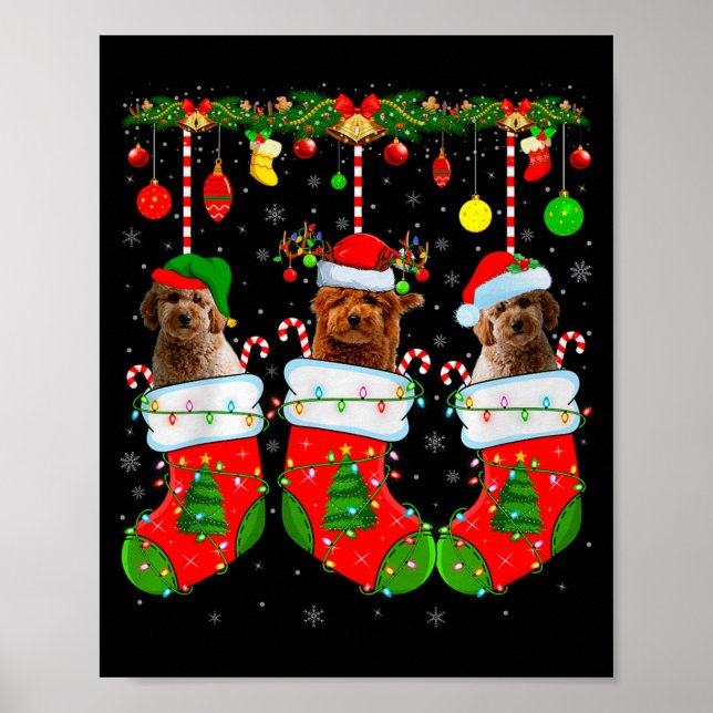 Póster Goldendoodle Dog In Christmas Socks Funny Pet Dog  (Frente)