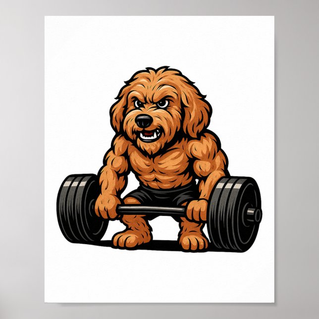 Póster Goldendoodle Weightlifting Bodybuilder Workout Gym (Frente)
