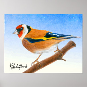 Póster Goldfinch Bird Watercolor Painting Poster