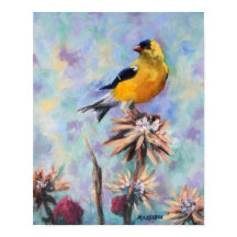 Goldfinch estadounidense en Thistle Bella Artes