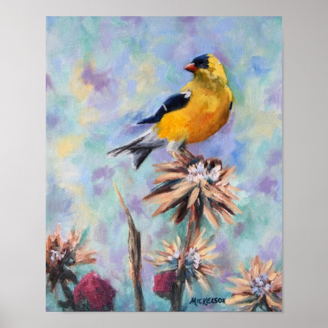 Póster Goldfinch estadounidense en Thistle Bella Artes (Frente)