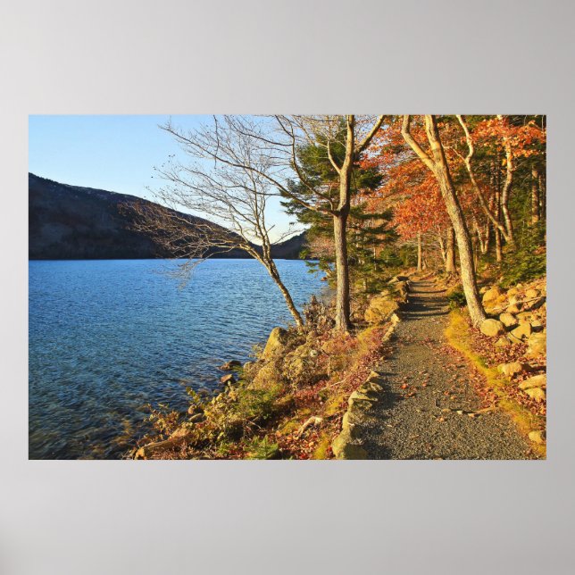 Póster Golds & Blues (Frente)