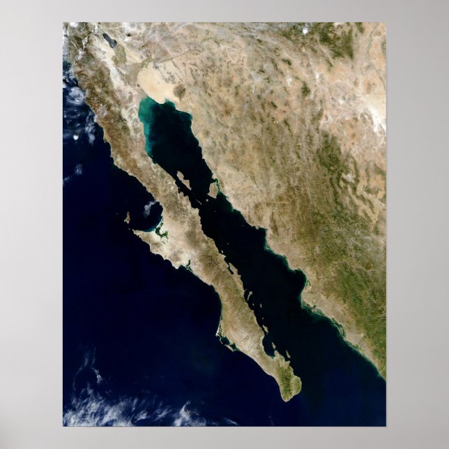Póster Golfo de California (Frente)
