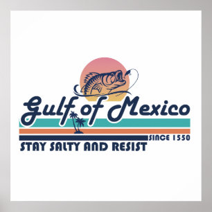 Póster Golfo de México mantente salado y resiste la pesca