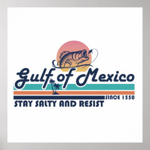 Póster Golfo de México permanezca salado y resista la pes
