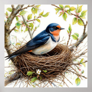 Póster Golondrina común anidando en una rama cubierta de