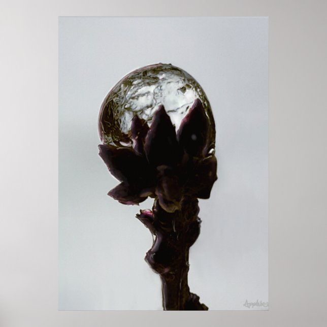 Póster Goma de lluvia congelada en foto de rama de árbol (Frente)