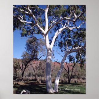 Póster Goma fantasma en Alicia