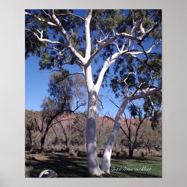 Póster Goma fantasma en Alicia (Frente)