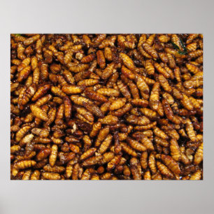 Póster Gomas de seda fritas... Comida callejera tailandes