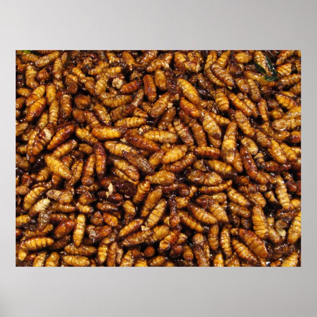 Póster Gomas de seda fritas... Comida callejera tailandes (Frente)