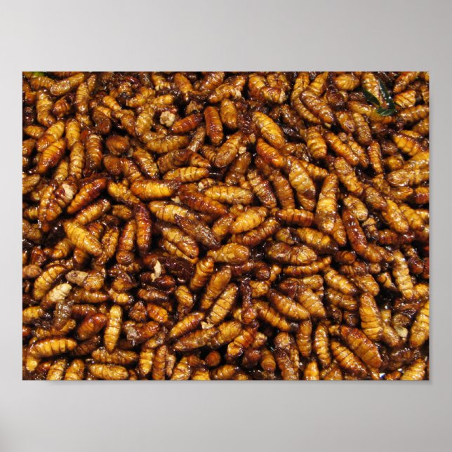 Póster Gomas de seda fritas... Comida callejera tailandes (Frente)