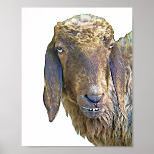 Póster Goofing Sheep Face Farm Animal Art
