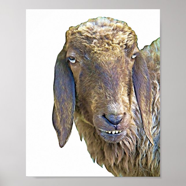 Póster Goofing Sheep Face Farm Animal Art (Frente)