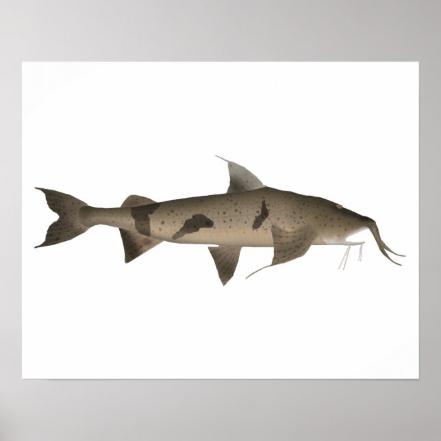 Póster Goonch (Frente)