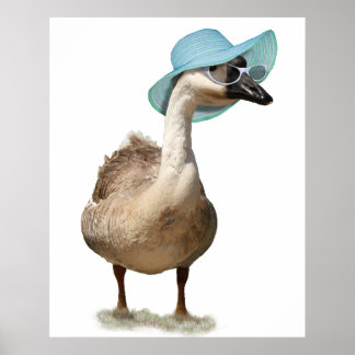 Póster Goose con un agitado Gorra de verano azul