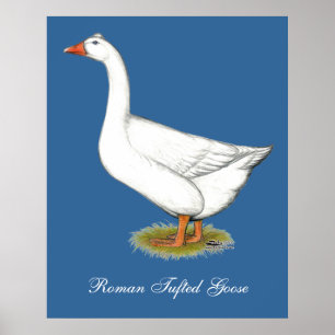 Póster Goose Roman Tufted